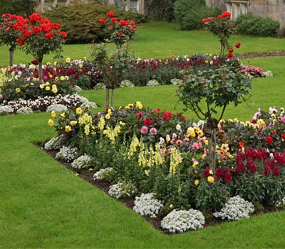 Garden services in the Cotswolds